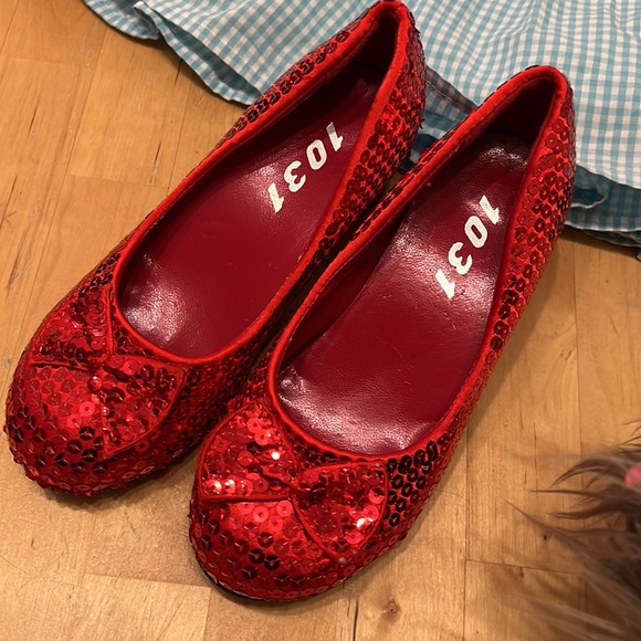 Dorothy from The Wizard of Oz - Full Costume Set - Toto and Ruby Slippers - Picture 3 of 14